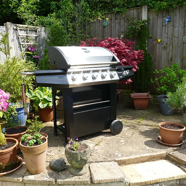 Dominica 5+1 Gas Burner BBQ - Hog the Oven