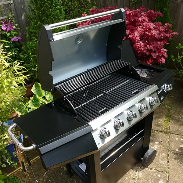 Dominica 5+1 Gas Burner BBQ - Hog the Oven